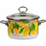 Кастрюля5л.ЛимонVITROSS1SB245S-4