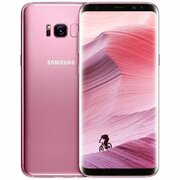 SamsungG955FDGalaxyS8+6.2"4+64Gb3500mAhDUOS/ROSEPINKCN+