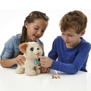 FRRPAXMYPOOPINPUPHASBRO