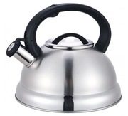 Ceainic3.0LMaestroMr-1313