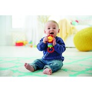 MattelFPZornaitoare"Leu"