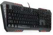 КлавиатураGenesisRX55