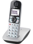 DECTPanasonicKX-TGE510RUS,Silver