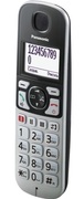 DECTPanasonicKX-TGE510RUS,Silver