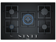 ВарочнаяпанельBOSCHPPQ7A6B20