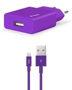 ttecWallChargerSmartTravelwithCableUSBtoLightning2.4A(1.2m),Purple