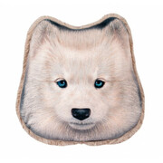 STIP-PernaCaineHusky