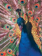 КоврикдлямышиGembirdMP-PICTURE/400