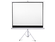 TripodProjectionScreenCY-TS72"(4:3),4:3,145cmx110cm,MatteWhite