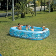 Бассейнсемейныйулуч.305смх183смх56см54043