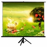 ПроекционныйэкранATRIATR-AV-6085"153*153смRatio1:1