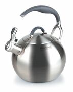 ЧайникRondellRDS-495