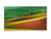 Телевизор32"LEDSamsungUE32N4510AUXUA,White