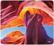 CovorasAcmeCanyon,53779,plastic