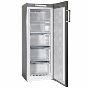 МорозильникVestaRF-F145XNF