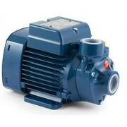 PQm100вихревойнасосPedrollo41PQ917A1